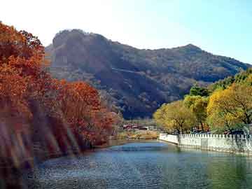 新澳天天开奖资料大全旅游团，上海计算机培训